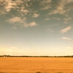 North Dakota Prarie