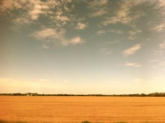 North Dakota Prarie