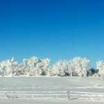 North Dakota Winter