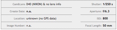 Exzo plugin example