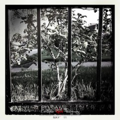 Nature-Behind-Bars.jpg